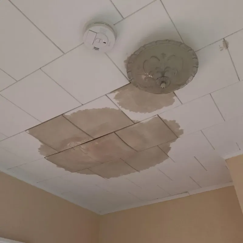 Ceiling Water Damage Repair in Litchfield, CT