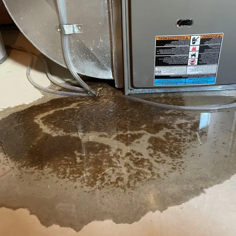 Pipe Burst and Leak Restoration in Litchfield, CT