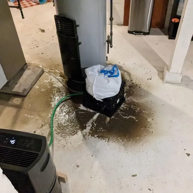 Sewage Backup Cleanup Service in Litchfield, CT